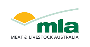MLA MLA